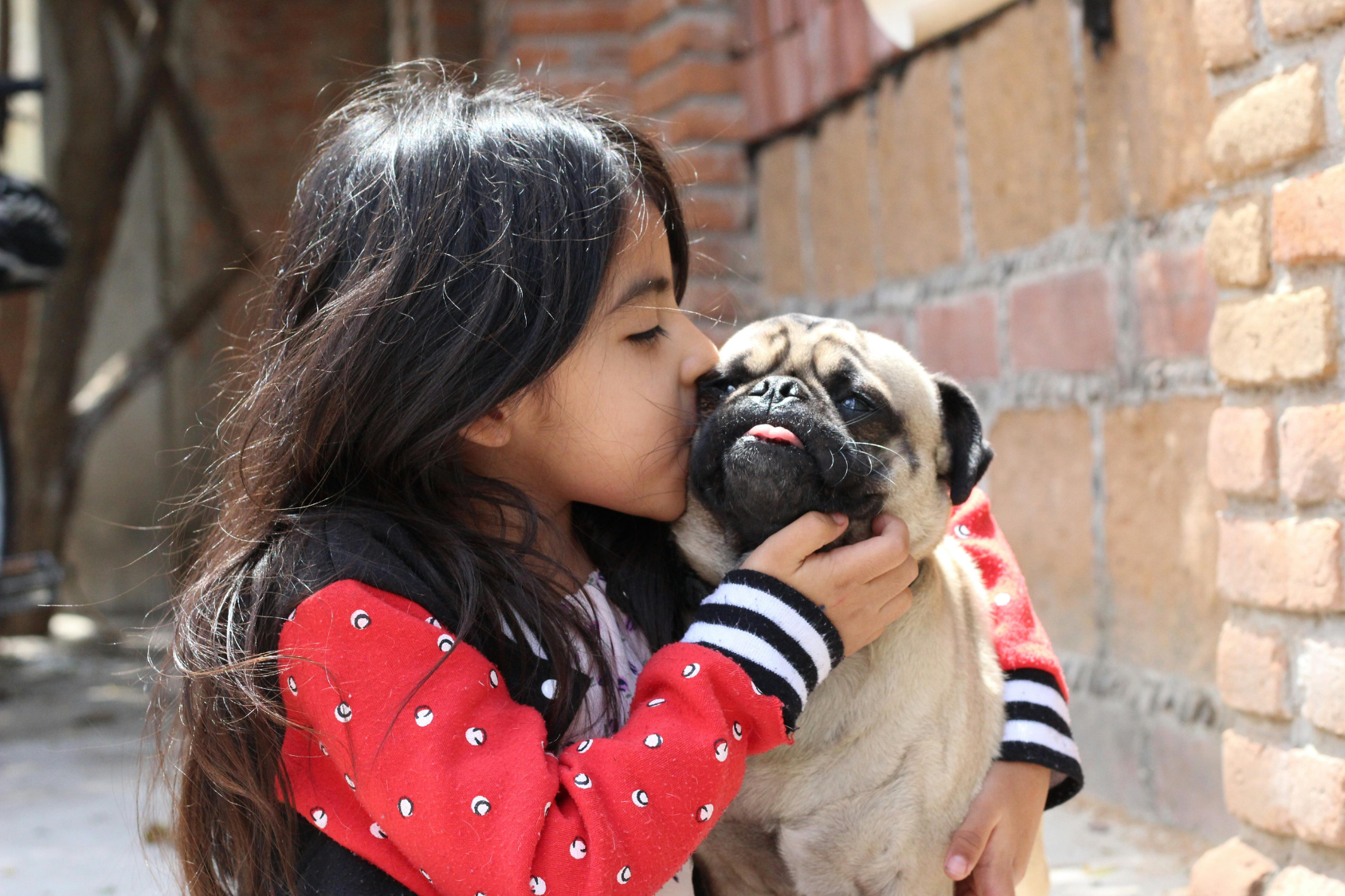 Child doing therapy with puppy
